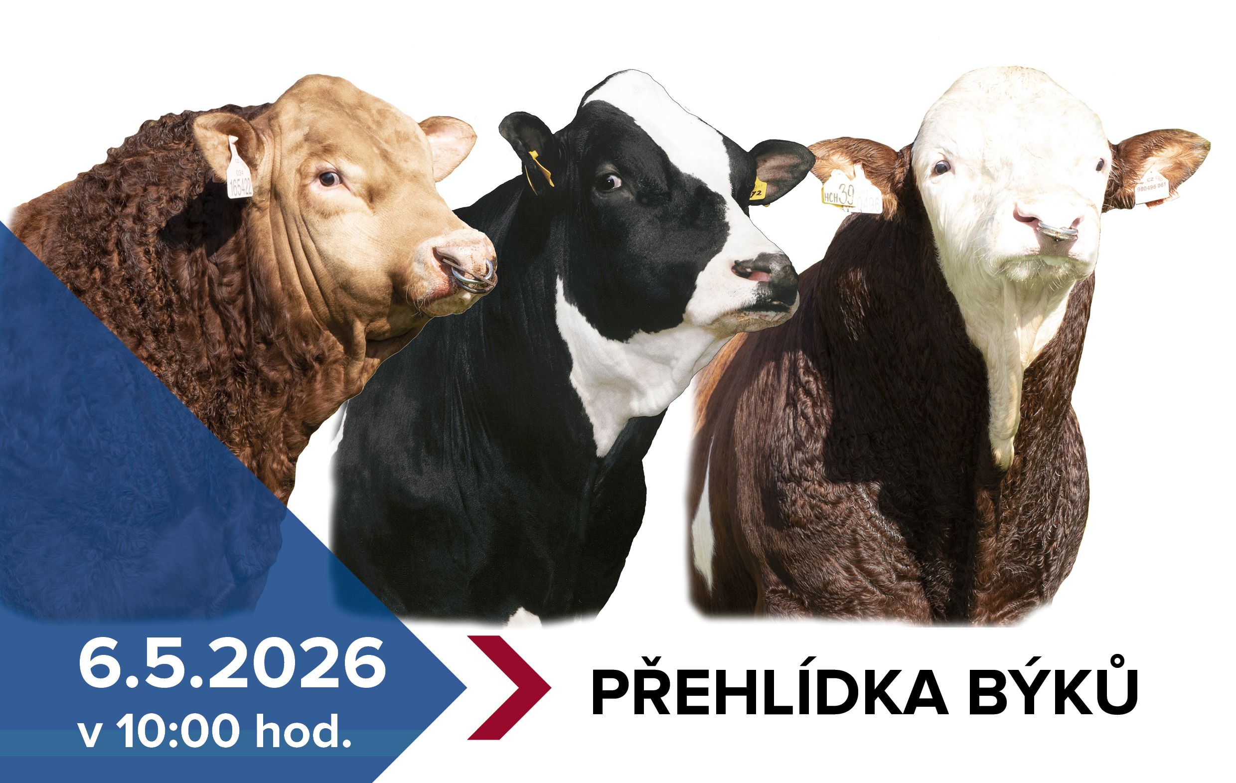 Pozvánka-na-přehlídku-býků-ISB-Zásmuky_2026 Pozvánka-na-přehlídku-býků-ISB-Zásmuky_2026