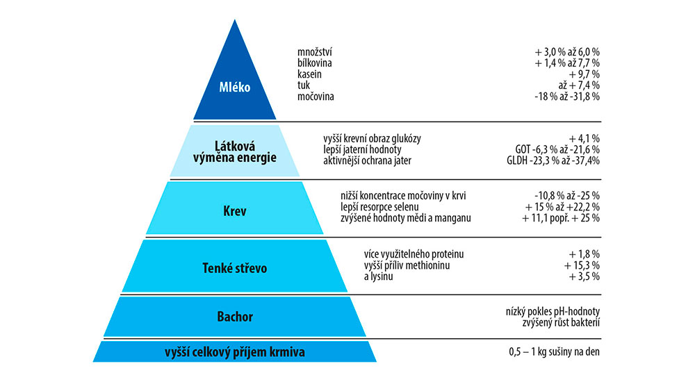 Pyramida účinku BOVIN-S-KOMPLEX