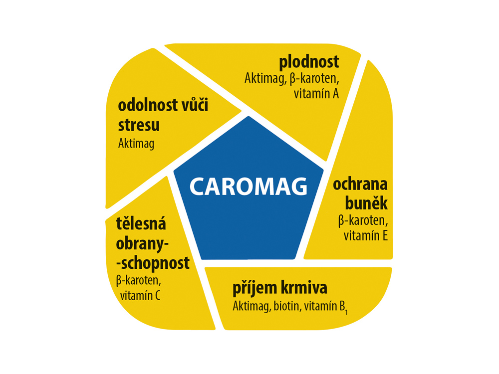 CAROMAG pro dojnice