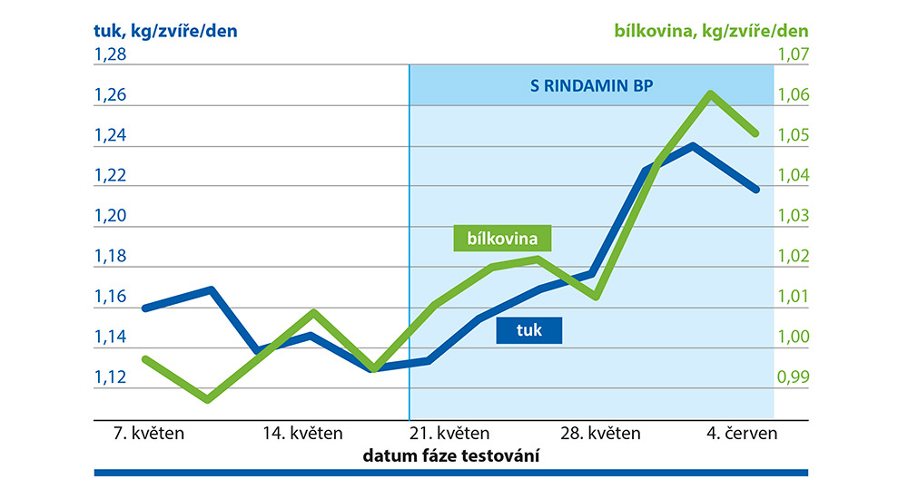 Praktické studie potvrzují pravidelně pozitivní vliv RINDAMIN BP na mléčnou užitkovost.