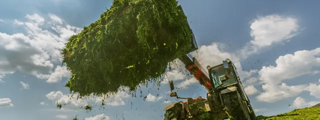 Radlader mit Grassilage