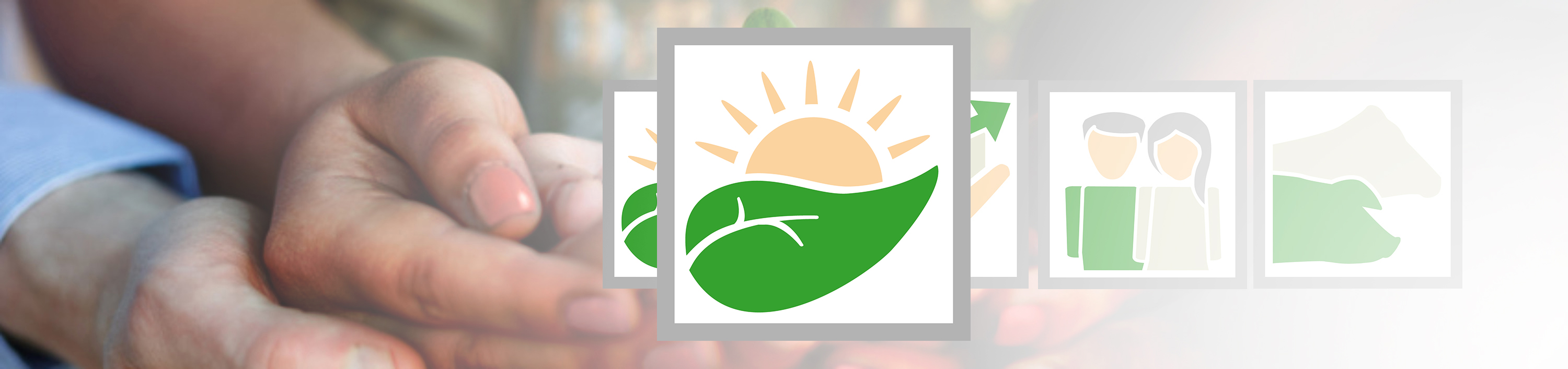 Nachhaltigkeit bei SCHAUMANN Energie und Klima